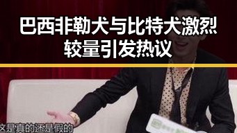 巴西非勒犬与比特犬激烈较量引发热议