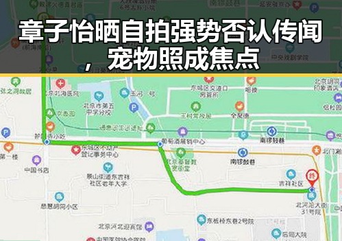章子怡晒自拍强势否认传闻，宠物照成焦点