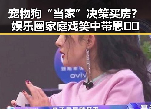 宠物狗“当家”决策买房？娱乐圈家庭戏笑中带思 🤣🏡