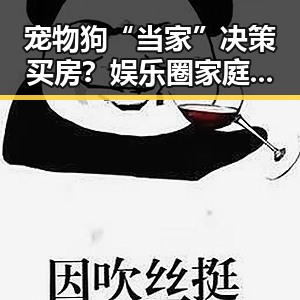 宠物狗“当家”决策买房?娱乐圈家庭戏笑中带思 🤣🏡