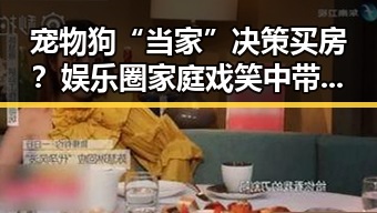 宠物狗“当家”决策买房?娱乐圈家庭戏笑中带思 🤣🏡