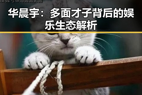 华晨宇：多面才子背后的娱乐生态解析