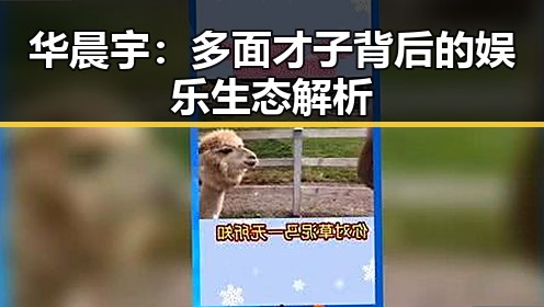 华晨宇:多面才子背后的娱乐生态解析