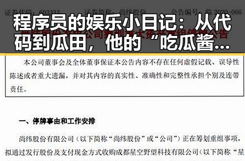 程序员的娱乐小日记:从代码到瓜田,他的“吃瓜酱”引发热议🔥