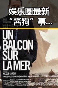 娱乐圈最新“酱狗”事件引爆热议,明星们的自嘲成亮点!